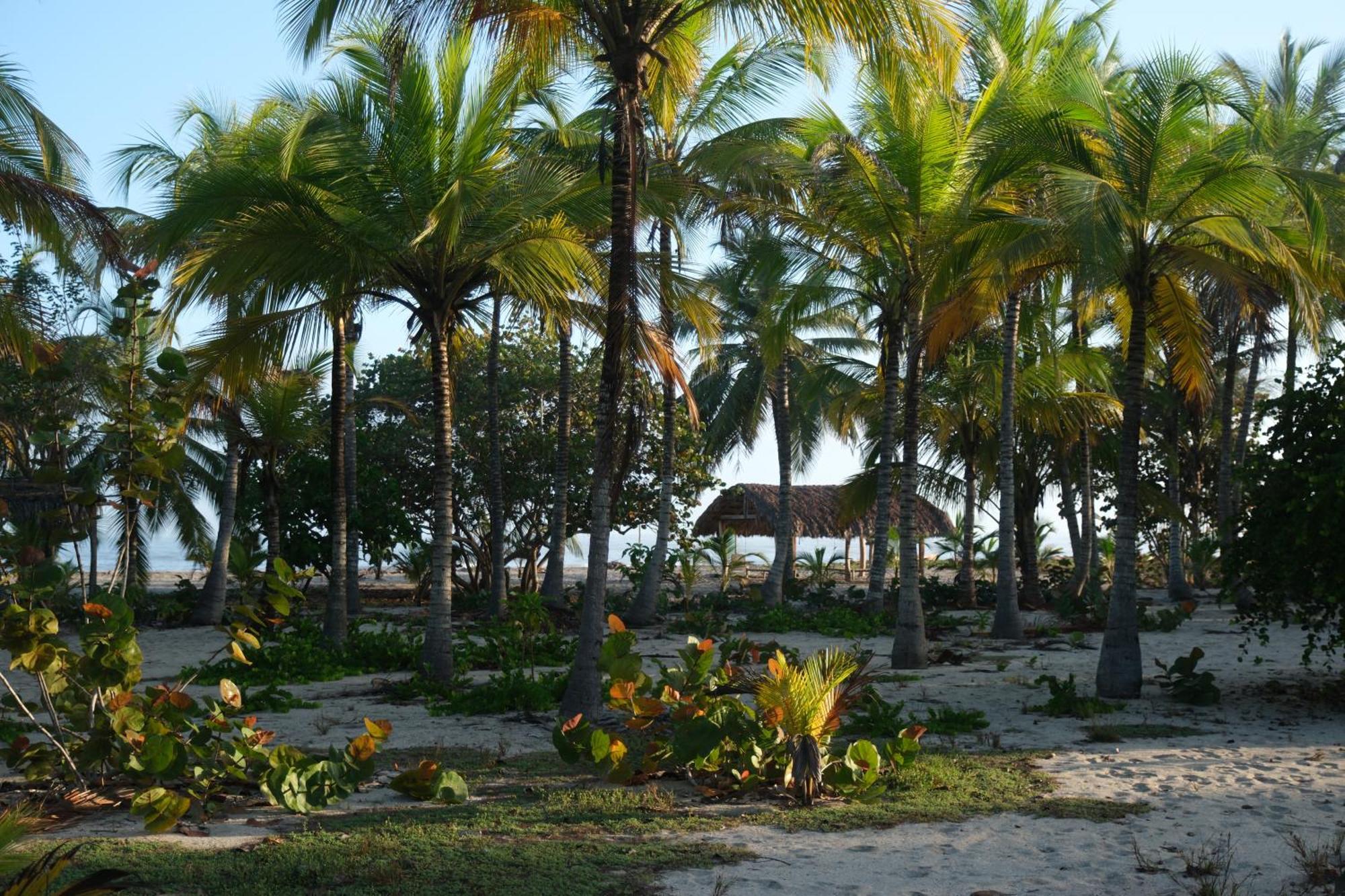 Hotel Playa Bonita Tayrona Буритака Экстерьер фото